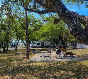 picnic area