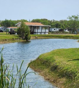 water and grass